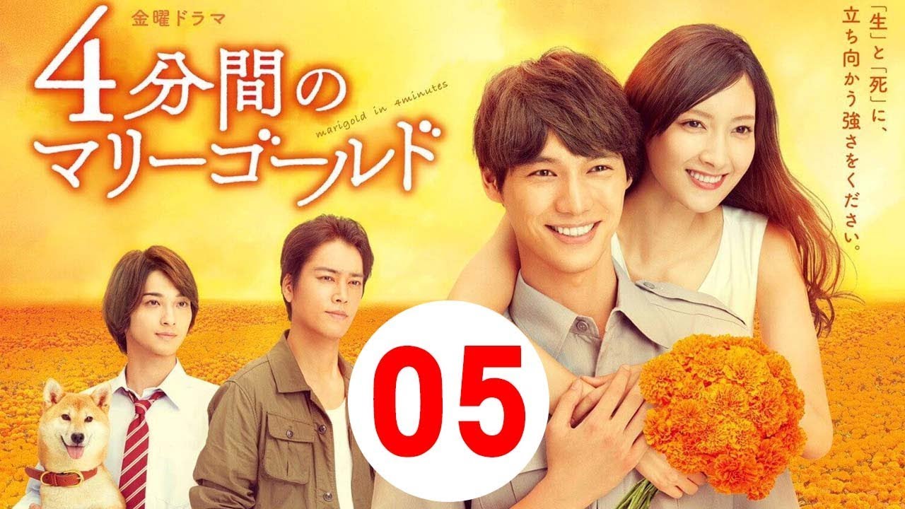 「4分間のマリーゴールド」 第5話 2019年12月7日 🌸🌸 横浜流星の“藍ごはん”復活に安堵の声 【FULL】