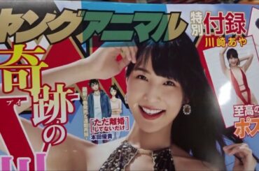 ヤングアニマル 2019年 10/11 号 川崎あや【白泉社】