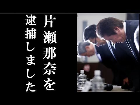 沢尻エリカの保釈後に警察が正式に片瀬那奈を緊急逮捕!!親友沢尻の今回の件の裏事情がヤバい【絶景サイコちゃんねる】