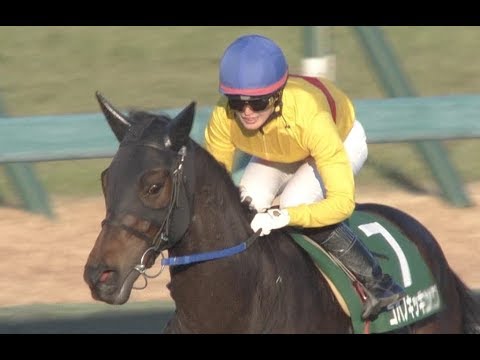 藤田菜七子 JRA 89th WIN コパノキッキング カペラステークス(GIII)