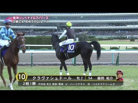 みんなのKEIBA 2019年12月8日【阪神JF・GI＆カペラSに藤田菜七子 ゲスト井森美幸】