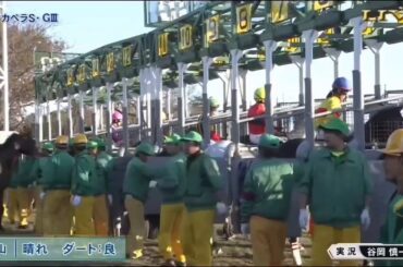 祝！  藤田菜七子   JRA重賞 初勝利 カペラS コパノクッキング大楽勝 2019年12月8日