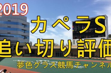 【追い切り評価】2019カペラステークス！菜七子さんのJRA初重賞制覇に向けてコパノキッキング好仕上がり？