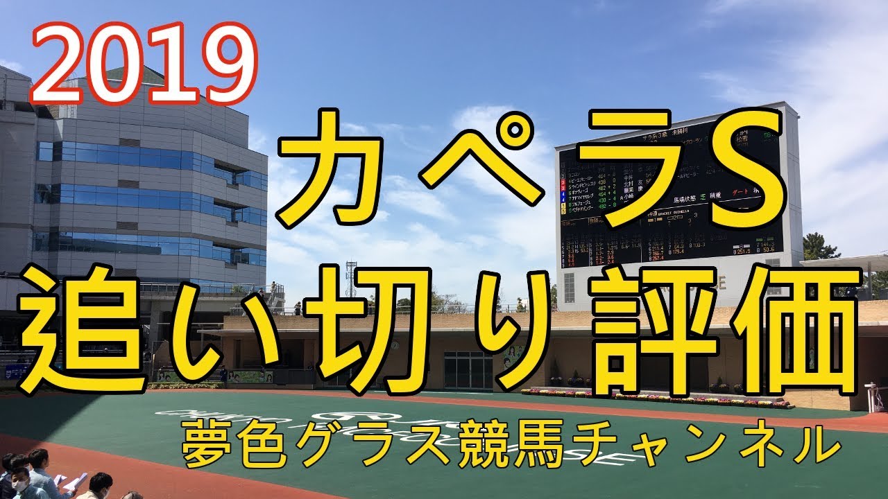 【追い切り評価】2019カペラステークス！菜七子さんのJRA初重賞制覇に向けてコパノキッキング好仕上がり？