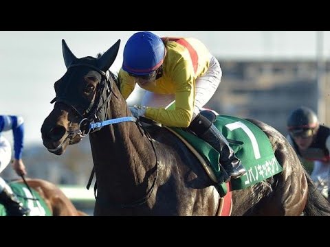 2019 カペラステークス  コパノキッキング  藤田菜七子騎手