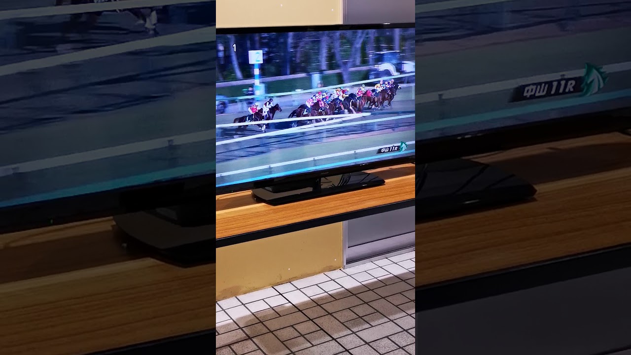 2019 カペラS 歴史的快挙達成の日