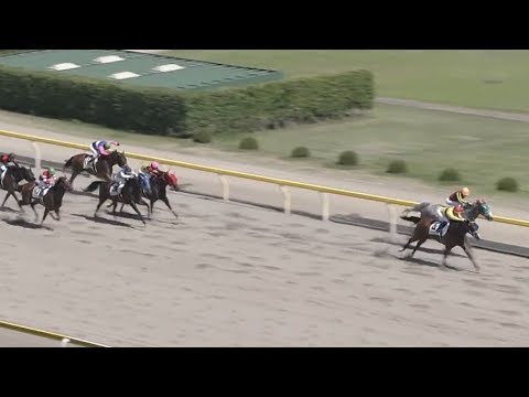 ●藤田菜七子 ZANNEN-SHOW15th コパノビジン