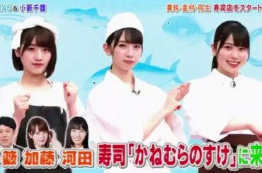 HINABINGO!2 日向坂46が新規事業 小籔千豊驚き秘ラーメン店秘寿司店  2019年7月29日