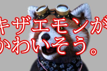 あびる優と才賀紀左衛門が離婚について