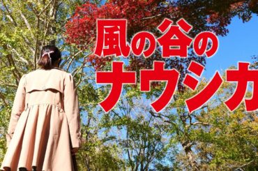 ASMR 風の谷のナウシカ FULL MV 安田成美【歌ってみた/子守唄】