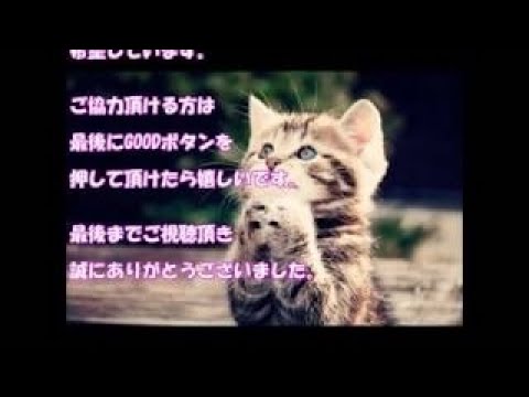 【腹黒】川越シェフがテレビから消えてたWW 一杯の水から強烈なブーメランで火だるまに…その水で消火できずWWWWW