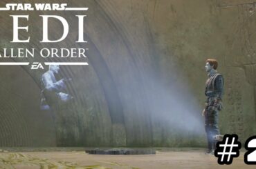 失われた古代文明の遺跡【スター・ウォーズ ジェダイ:フォールン・オーダー】＃２