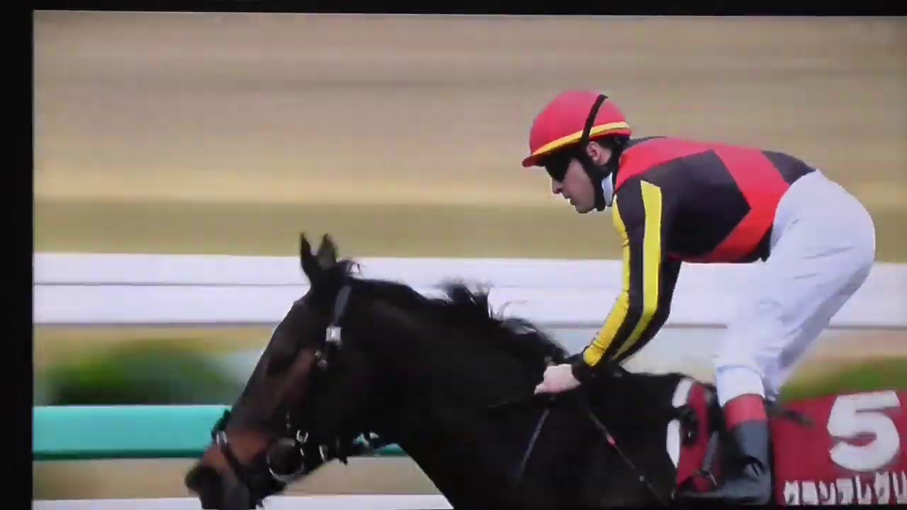 11/21 阪神　阪神カップ（GⅡ）