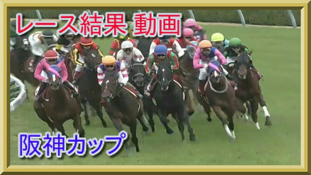 阪神カップ　レース結果　動画　2019年