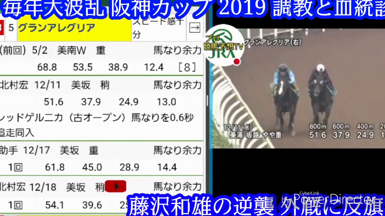 調教&血統診断 阪神カップ 藤沢和の逆襲 グランアレグリア。毎年３連単万馬。馬也調教の藤沢和雄が坂路で過去10年厩舎トップタイムでメイチ仕上げ プロ競馬TV