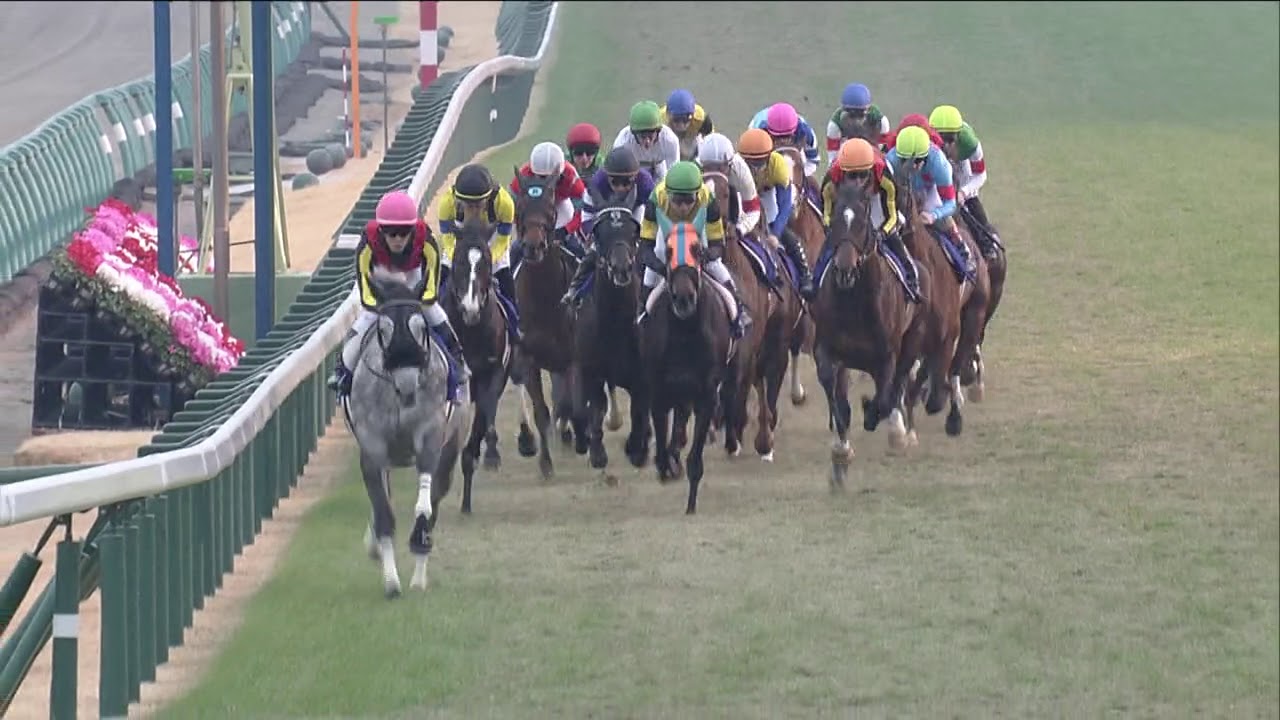 2019 有馬記念