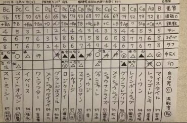 結果分析「阪神カップ2019」回顧。一頭ずつの敗因、勝因。