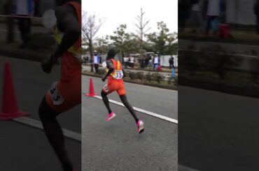 2019年 全国高校駅伝男子 3区 ラスト300m キプラガット