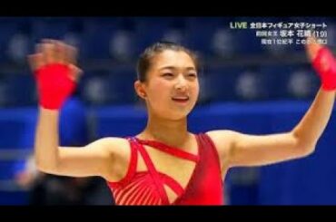 Kaori Sakamoto 坂本花織 - SP, Japan Nationals 2019 (No Commentary)