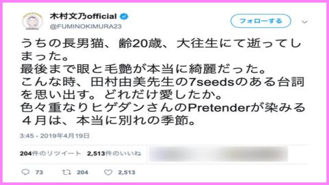 木村文乃とイケメン演技講師に極秘離婚報道