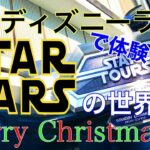 【TDL】東京ディズニーランドで体験できるスターウォーズの世界（クリスマス記念）