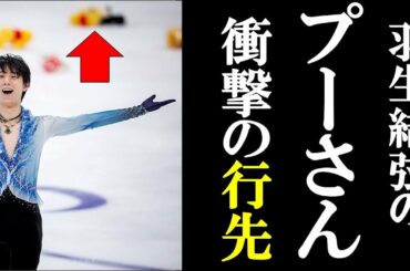 羽生結弦の演技後の投げられたプーさんの行方どうなってる？知っているようで知らないその後！