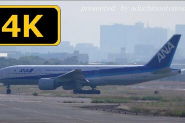 【4K】上戸彩「アテンションプリーズ 」テーマ曲にのせてITM 伊丹空港  離発着模様(時系列まとめ）November2019（VOL.6+)