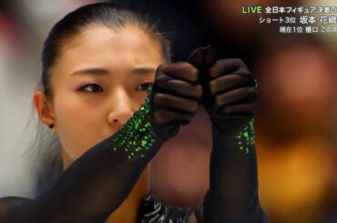 Kaori Sakamoto 坂本花織 - FS, Japanese Nationals 2019 (No Commentary)