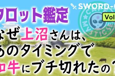 【タロット公開鑑定】なぜ上沼恵美子さんは、あのタイミングで和牛にブチ切れたのですか？ ソードの3 傷つけられたハート  見過ごしてはならない大切な警告 人間関係を見直す時期 【Vol.2】