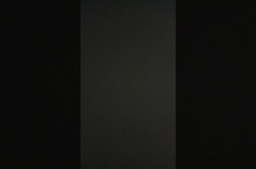 罪と罰 Live Ver.   椎名林檎    Vo.model yukio