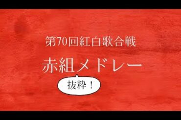 【第70回紅白歌合戦】赤組メドレー(抜粋)【フルート】