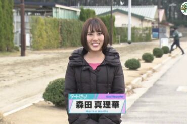 競馬ニュース 2019/12/28 有馬記念はリスグラシューが優勝 兵庫GTほか