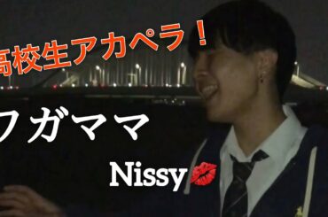 【高校生アカペラ】 ワガママ / Nissy（AAA 西島隆弘）