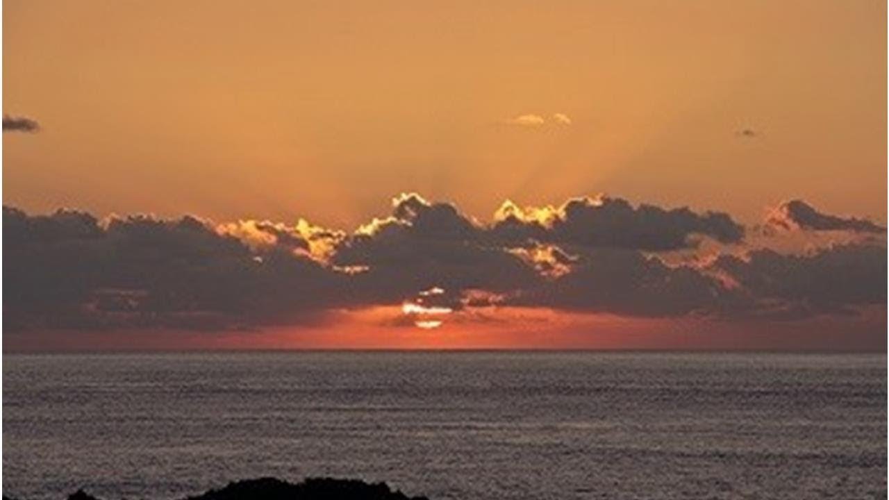 大阪学院大から静岡県勢２人が出場濃厚　富士山女子駅伝