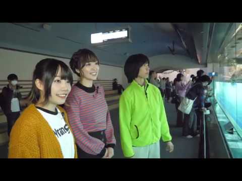 【佳村はるか・本渡楓】名古屋を巡る旅 -名古屋港水族館編#02-