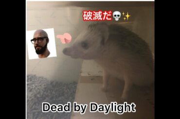 【PC】 DBD 「Dead By daylight デッドバイデイライト」浜崎あゆみママになったか