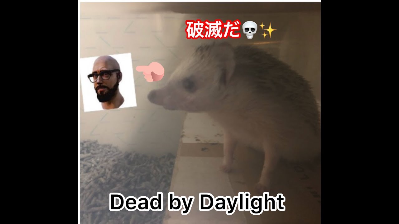 【PC】 DBD 「Dead By daylight デッドバイデイライト」浜崎あゆみママになったか 【PC】 DBD 「Dead By daylight デッドバイデイライト」浜崎あゆみママになったか