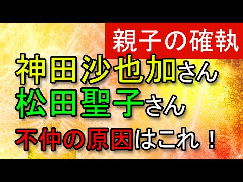 女優松田聖子さんと神田沙也加さんの親子の仲は？本当に確執があったのか、友好度数などを見てみました。