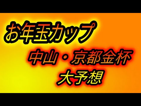 【競馬予想】2019年お年玉カップ　中山金杯&京都金杯予想！ドラゴンの本命はこの馬だ！！【中山金杯・京都金杯予想】