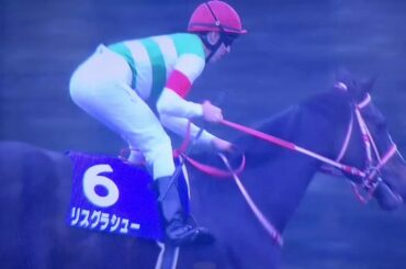 2019年 有馬記念のレース模様です。