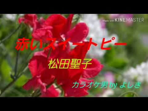 松田聖子／赤いスイートピー🎵カラオケ男byよしき