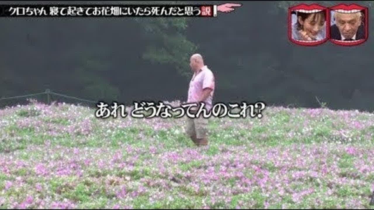 水曜日のダウンタウン神回 クロちゃん 寝て起きてお花畑にいたら死んだと思う説 Yayafa