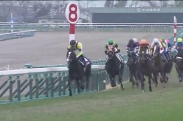 有馬記念2019 優勝リスグラシュー Dレーン騎手