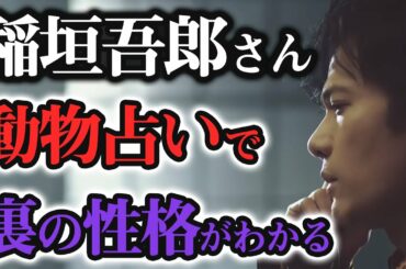 【動物占い】稲垣吾郎さんはクール？お茶目？裏の性格を暴露!