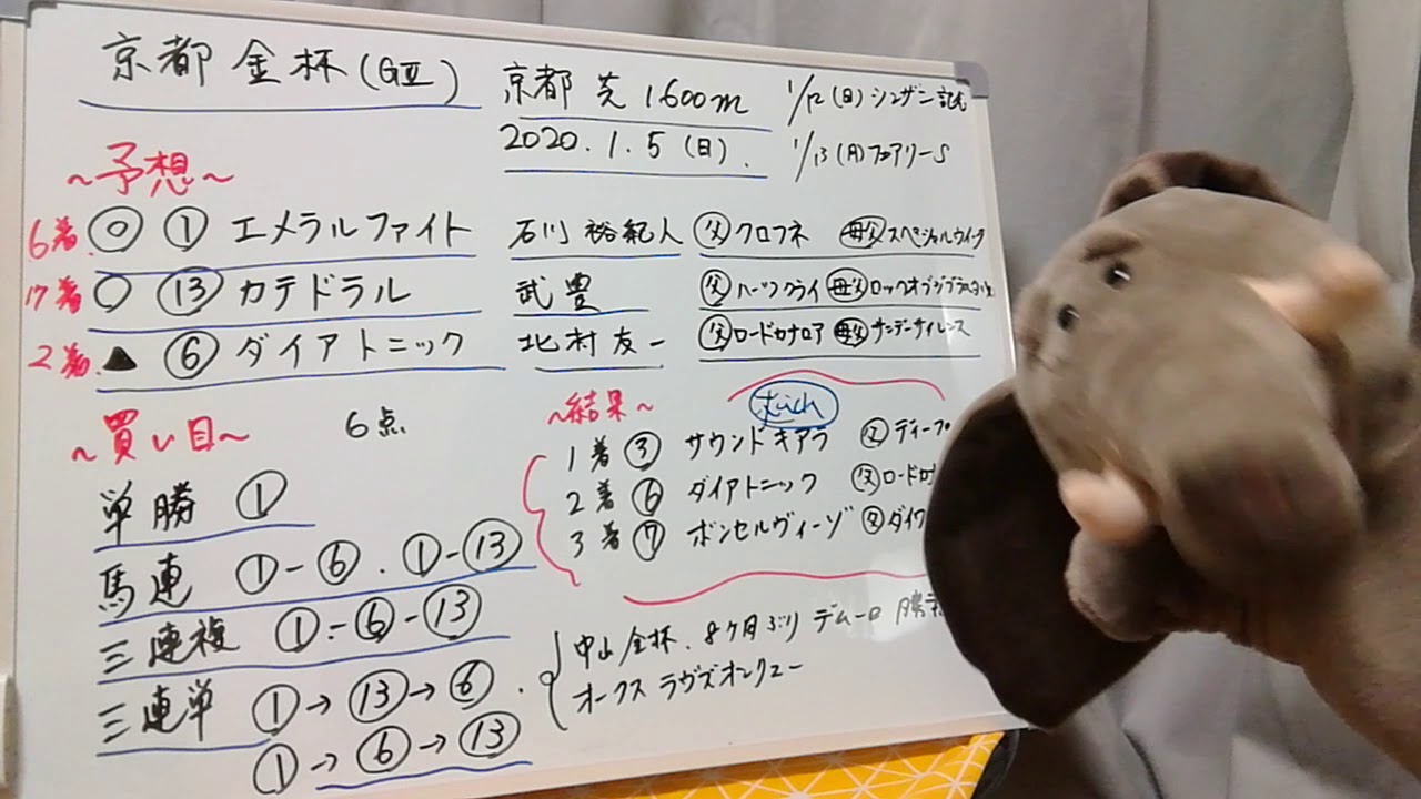 【京都金杯2020】🐴マックイーンジャパン競馬予想結果👍ご視聴ありがとうございます✨