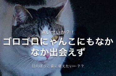 せつない気持ちてアップする七草粥を食べわすれた寒い日にアップする動画