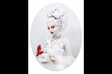 ニュース Express - 2020年01月08日 米倉涼子 モデルポーズで記念撮影！女王の重圧癒す忘年会の夜 - 記事詳細｜