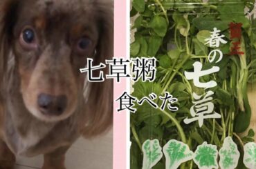 新年のご挨拶and七草粥食べたよ