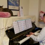 久石譲『Asian Dream Song』 ピアノ       ～猫と一緒～