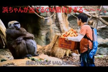 ダウンタウン浜田雅功 様♪  浜ちゃんが出てるCM面白すぎる～～～ (σ≧▽≦)σ　あのハマダがいい人になった～～～♪ マッスルスーツ    ハマダ マサトシ　株式会社イノフィス 様